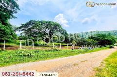 DD-904460 ที่ดินปากช่อง 2 ไร่ 164 ตร.ว. นครราชสีมา ใกล้วัดซับใต้-202506071233201749274400418.jpg