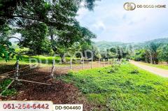 DD-904460 ที่ดินปากช่อง 2 ไร่ 164 ตร.ว. นครราชสีมา ใกล้วัดซับใต้-202506071233211749274401049.jpg