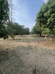เจ้าของขายเอง 5 ไร่ติดทล.ชนบท4002 จ.เพชรบุรี อยู่ก่อนถึงโครงการชั่งหัวมัน 12 กิโล-202506071421291749280889342.jpg