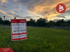 ขายที่ดิน 1 ไร่ ดอนเจดีย์ สุพรรณบุรี-202506081016521749352612406.jpg