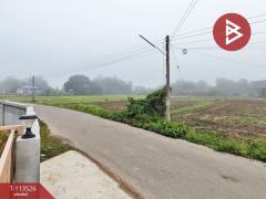 ขายที่ดิน เนื้อที่ 80 ตร.วา นาจักร แพร่-202506081127591749356879921.jpg