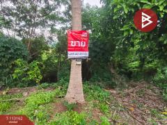 ขายที่ดิน เนื้อที่ 3 งาน 82 ตร.วา สอยดาว จันทบุรี