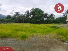 ขายที่ดิน เนื้อที่ 3 งาน 82 ตร.วา สอยดาว จันทบุรี-202506081147161749358036057.jpg