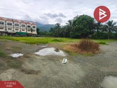 ขายที่ดิน เนื้อที่ 3 งาน 82 ตร.วา สอยดาว จันทบุรี-202506081147191749358039738.jpg