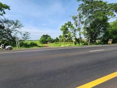 ขายที่ดินติดถนนราชสีมาโชคชัยหมายเลข 24 ติดโรงงานเบทาโกร สาขาหนองบุญมาก อำเภอหนองบุญมากจังหวัดนครราชสีมา -202506081407321749366452666.jpg