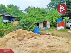 ขายที่ดิน เนื้อที่ 1 งาน หนองจอก กรุงเทพมหานคร-202506081527211749371241259.jpg