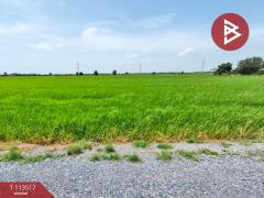 ขายที่ดิน เนื้อที่ 8 ไร่ 45 ตร.วา บางเลน นครปฐม-202506081551181749372678017.jpg