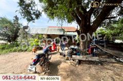NY-803976 บ้านเดี่ยว ศรีราชา ชลบุรี ใกล้โรงกลั่นน้ำมันไทยออยล์-202506081555221749372922200.jpg