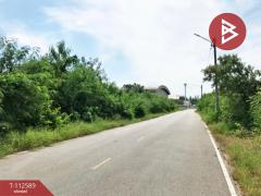 ขายที่ดิน-เนื้อที่-3-ไร่-1-งาน-32.7-ตร.วา-ค