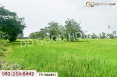 PR-904492 ที่ดินนาวุ้ง 8 ไร่ 114 ตร.ว. เพชรบุรี ใกล้มหาวิทยาลัยราชภัฏเพชรบุรี-202506091425421749453942881.jpg