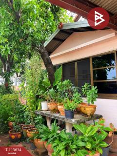 ขายบ้านเดี่ยว โครงการบ้านพัดชา4 (Baan Phatcha4) เทพารักษ์ สมุทรปราการ-202506091445251749455125315.jpg