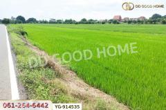 YG-914535 ที่ดินไทรน้อย 200 ตร.ว. นนทบุรี ใกล้วัดปลายคลองขุนศรี-202506092058351749477515184.jpg
