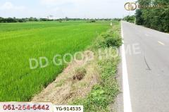 YG-914535 ที่ดินไทรน้อย 200 ตร.ว. นนทบุรี ใกล้วัดปลายคลองขุนศรี-202506092058371749477517298.jpg