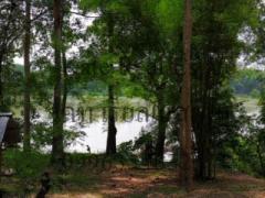 ขายที่ดินสวยติดแม่น้ำมูลทั้งผืน อากาศเย็นสบายทั้งปีหน้าที่ดินเป็นถนนคอนกรีตเทใหม่เอี่ยม -202506100009531749488993052.jpg
