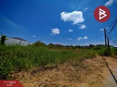 ขายที่ดิน เนื้อที่ 3 งาน 85 ตร.วา พานทอง ชลบุรี-202506101230021749533402349.jpg