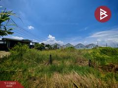 ขายที่ดิน เนื้อที่ 3 งาน 85 ตร.วา พานทอง ชลบุรี-202506101230021749533402929.jpg