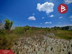 ขายที่ดิน เนื้อที่ 3 งาน 85 ตร.วา พานทอง ชลบุรี-202506101230041749533404546.jpg