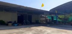 ขายโรงงานพร้อมใบ รง.4 ขนาด 4-2-51 ไร่ ใกล้สยามชัยหาดทรายขาว ทะเลนครปฐม-202506101242501749534170098.jpg