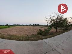 ขายที่ดิน เนื้อที่ 13 ไร่ 32 ตร.วา สามชุก สุพรรณบุรี-202506101353251749538405433.jpg
