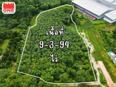 ที่ดินสวนผสม 9-3-94 ไร่ ผลิตผลพร้อมเก็บเกี่ยว สร้างรายได้ทันที ต.โพธิ์เสด็จ