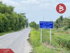 ขายที่ดิน เนื้อที่ 10 ไร่ 6 ตร.วา หนองเสือ ปทุมธานี-202506101427591749540479986.jpg
