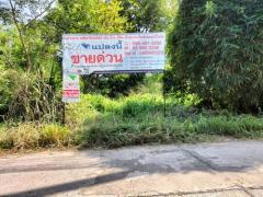 ที่ดินเปล่า 1-1-88.4 ไร่  ต.เมืองปัก อ.ปักธงชัย จ.นครราชสีมา 