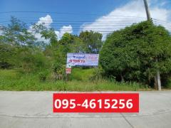 ที่ดินเปล่า 1-1-88.4 ไร่  ต.เมืองปัก อ.ปักธงชัย จ.นครราชสีมา -202506101434071749540847163.jpg