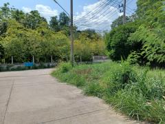 ที่ดินเปล่า 1-1-88.4 ไร่  ต.เมืองปัก อ.ปักธงชัย จ.นครราชสีมา -202506101434111749540851801.jpg