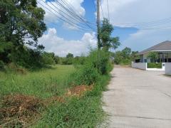 ที่ดินเปล่า 1-1-88.4 ไร่  ต.เมืองปัก อ.ปักธงชัย จ.นครราชสีมา -202506101434121749540852318.jpg