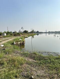 ขายที่ดินแปลงใหญ่ ทำเลทอง ใกล้ ABAC บางนา จังหวัดกรุงเทพมหานคร