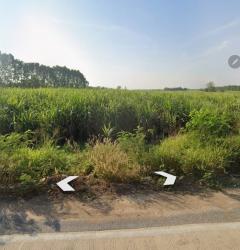 ขายที่ดินแปลงสวย ตำบลท่าบุญมี อำเภอเกาะจันทร์ จังหวัดชลบุรี-202506101506281749542788344.jpg