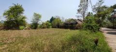 ขายที่ดินสันผักหวาน 148 ตร.ว. อ.หางดง เชียงใหม่