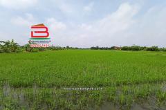 ที่ดินเปล่า ไมตรีจิต 10 แยก 4 เนื้อที่ 41-0-52 ไร่ ใกล้โรงพยาบาลรัตนประชารักษ์ แขวงสามวาตะวันออก เขตคลองสามวา กรุงเทพมหานคร-202506110851541749606714957.jpg
