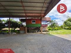 ขายโกดังพร้อมที่ดิน เนื้อที่ 3 งาน 13 ตร.วา ทัพหลวง นครปฐม-202506111043581749613438948.jpg