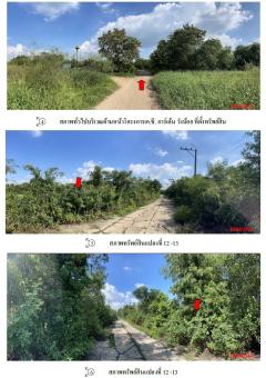 ขายที่ดินเปล่า อำเภอบางวังน้อย จังหวัดพระนครศรีอยุธยา  