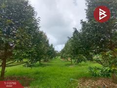  ขายที่ดิน เนื้อที่ 5 ไร่ 3 งาน 28.4 ตร.วา นายายอาม จันทบุรี