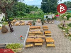 ขายที่ดิน เนื้อที่ 3 ไร่ 1 งาน 12 ตร.วา นายายอาม จันทบุรี-202506111136371749616597165.jpg