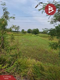 ขายที่ดิน เนื้อที่ 6 ไร่ 2 งาน 58.2 ตร.วา โคกโพธิ์ไชย ขอนแก่น-202506111203501749618230893.jpg