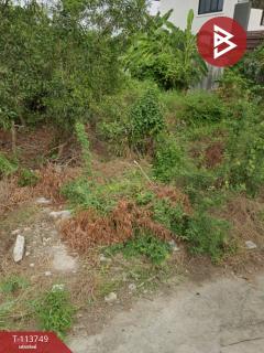 ขายที่ดิน-หมู่บ้านเพชรวัฒนะ-เนื้อท