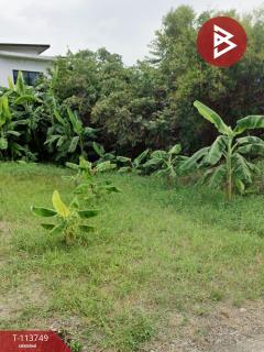 ขายที่ดิน หมู่บ้านเพชรวัฒนะ เนื้อที่ 1 งาน 14 ตร.วา ปากเกร็ด นนทบุรี-202506111212581749618778957.jpg