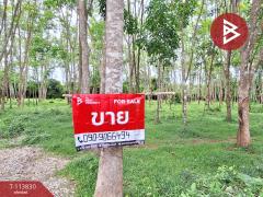 ขายที่ดิน เนื้อที่ 7 ไร่ 1 งาน 50 ตร.วา ท่าศาลา นครศรีธรรมราช