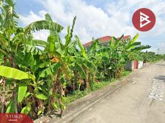 ขายที่ดิน เนื้อที่ 40 ตร.วา ลาดกระบัง กรุงเทพมหานคร-202506111251471749621107557.jpg