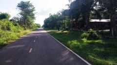 ขายที่ดิน 300ตรว-600ตรว ทำเลดี มีน้ำมีไฟ อยู่ในชุมชน อยู่ใกล้ตัวเมืองชานุมาน เหมาะปลูกบ้าน-202506111356031749624963877.jpg