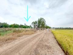 ที่ดิน ถนน3111 บางไทร อยุธยา-202506111405121749625512189.jpg