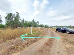 ที่ดิน ถนน3111 บางไทร อยุธยา-202506111405161749625516476.jpg