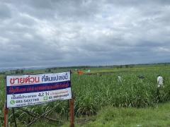 ด่วน ขายที่ดินแม่สอด-ห้วยกระโหลก จำนวน 42 ไร่ (ที่ดินมีโฉนด นส. 4 ครุฑแดงแปลงเดียวในย่านนี้)-202506111439111749627551749.jpg