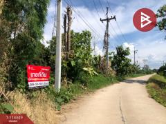 ขายที่ดิน เนื้อที่ 3 งาน ริมกก เชียงราย-202506111458111749628691016.jpg