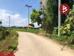 ขายที่ดิน เนื้อที่ 3 งาน ริมกก เชียงราย-202506111458121749628692170.jpg