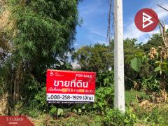 ขายที่ดิน เนื้อที่ 3 งาน ริมกก เชียงราย-202506111458121749628692746.jpg