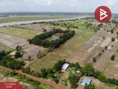ขายที่ดิน เนื้อที่ 20 ไร่ 2 งาน 54 ตร.วา หนองกี่ บุรีรัมย์-202506111458471749628727331.jpg